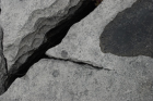 Sheshymore Limestone with classic kharstified exposures of the disolving fracture margins, Grikes, of tabular blocks of limestone pavement, Clints. Widened driven by post glacial disolution (McNamara, & Hennessy, 2010). Variscan folding initiated the fractures (Coller, 1984).